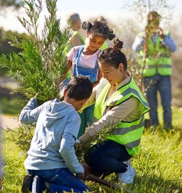 people planting trees